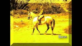 Horses & Me - I Just Can´t Get Enough .....