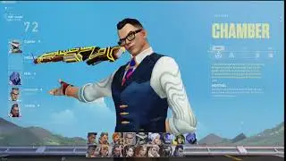 CHAMBER AGENT SELECTION ANIMATION 