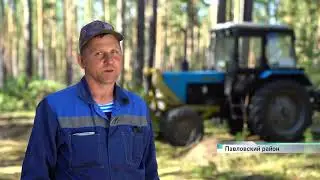 Лучшая бригада  на заготовке древесины в 2022 году