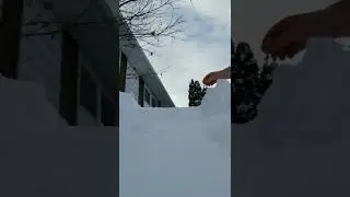 Fort Nuts