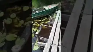 ловим коптим едим