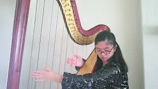 M. Castelnuovo-Tedesco Harp Concertino Mvt 3 (solo version)