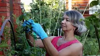 Нестандарт. Сезон 2. Анонс. Канал Загородный