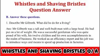 Whistles and Shaving Bristles Question Answer The Magic Carpet