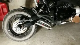 Honda Grom MSX 125 IXIL Exhaust Install & Startup Sound Clip (2013-2015)