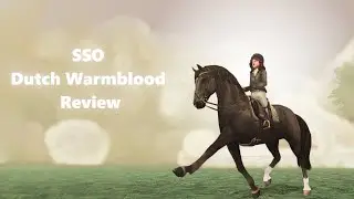 SSO Dutch Warmblood Review!
