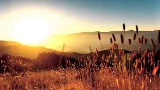 New World - Fields Of La Tourette (Original Mix)[HD]