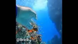 КУЯВЕРМА  ДУНЁ  ИШИГА...