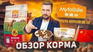 Уникальный сухой корм MYFOODIE от Китайского завода №1 | Холистик корм для собак