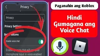Paano Kumuha ng Roblox Voice Chat (2024),1| Paano Paganahin ang Voice Chat Sa Roblox,