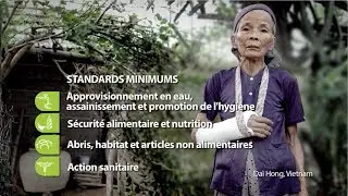 Les standards humanitaires à l'épreuve du terrain: quand le manuel Sphère prend vie