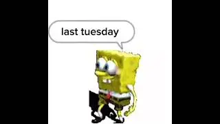 spung berb #roblox #cantwaittillimoutofk12 #funnyimages #memes #worlddontrevolvearoundyou #funnymeme