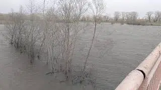 Башкортостан. Р. Белая рядом с с. Юмагузино 24.04.2010