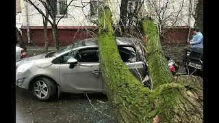 На Москву обрушилось штормовое ненастье