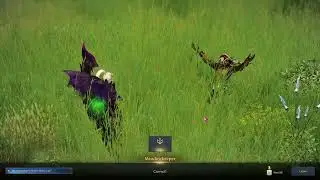 Meadowkeeper's Riddle - How Long ? - Lost Ark