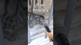 Я не хо-чууу