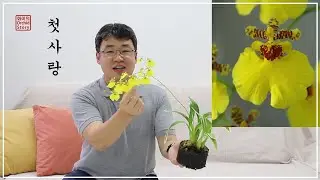 [여보여보] 첫사랑 이야기~ ^.^