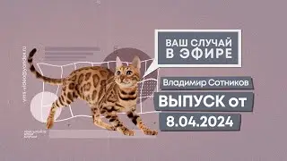 Ваш случай в эфире. Выпуск от 8.04.2024