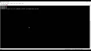 Create the container CentOS on Docker and install network tools