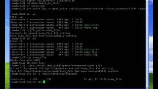8. The gfal API