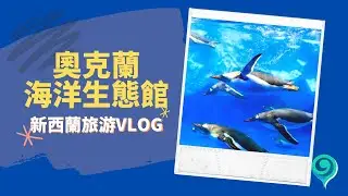 VLOG.04紐西蘭奧克蘭周末推介! 神秘海洋馆!  NEW ZEALAND SEA LIFE MUSEUM