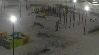 Пьяный голый по снегу