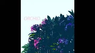 Orchid pt. 2