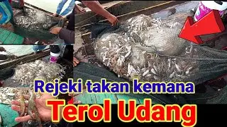 Nerol udang di laut kalimantan isinya tidak diduga ternyata ada hewan aneh / hasil yang memuaskan