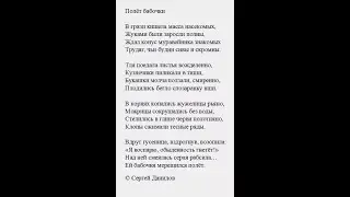 Полет бабочки #shorts