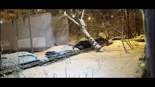 Под окном 2023 март 04 - 06 яндекс такси 570 не сбил семейку с ребёнком