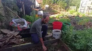 ערוגת לזניה