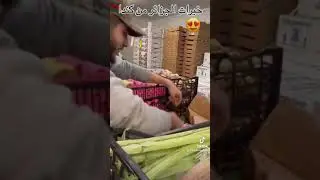 ماشا ء الله.. شاهد خضر وفواكه جزائرية في كندًا 😍