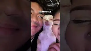 No salió como esperábamos