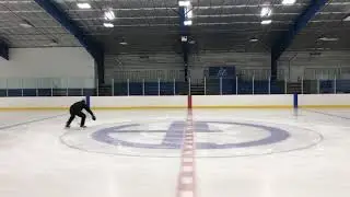 Circle Puck Protection