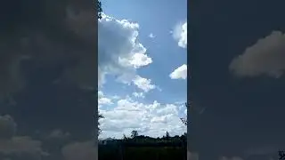 24 июля 2024 г.