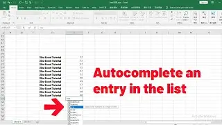 How to have Excel autocomplete an entry in that list in Excel