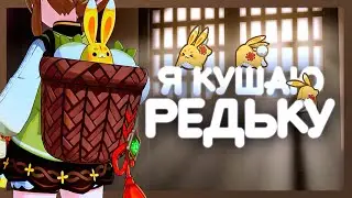 хочу килограмм редьки