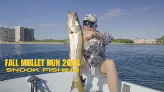 Fall Mullet Run in South Florida. Solid Snook Action on 17 Whaler.