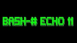 Seektik | Bash (Shell scripting) Beginner to Advanced - 11