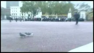 Adorable - Submarine