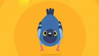 Pigeon pop gameplay