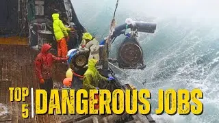 The Most Dangerous Jobs In The World | Bright Life | Facts