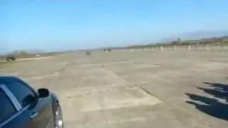 E36 M3 V10 Acceleration @ Gjader
