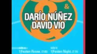 Dario Nuñez & David Vio - Festen Roose (Original Mix)