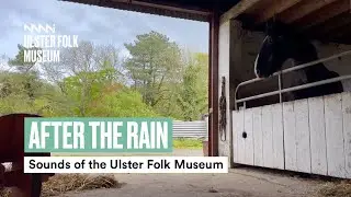 On the farm, After the Rain | Sounds of the Ulster Folk Museum