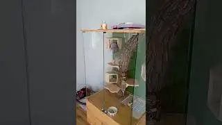 ваня здох 