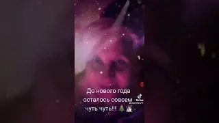 13 ноября 2022 г.
