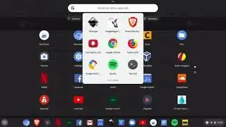 Spotify app on Cloudready through Linux