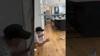 my cats get a taste of their own medicine 😂