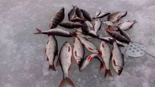 Горьковское море,река Санахта.Рыбалка удалась.